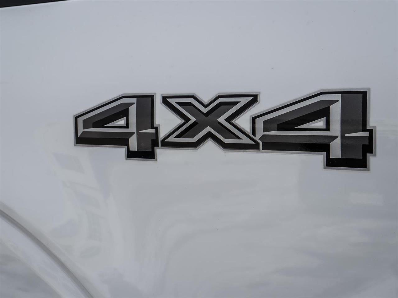 2026 Ford F-150 XLT Photo