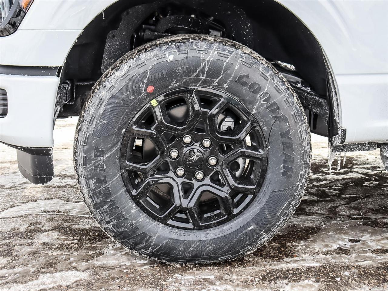 2026 Ford F-150 XLT Photo