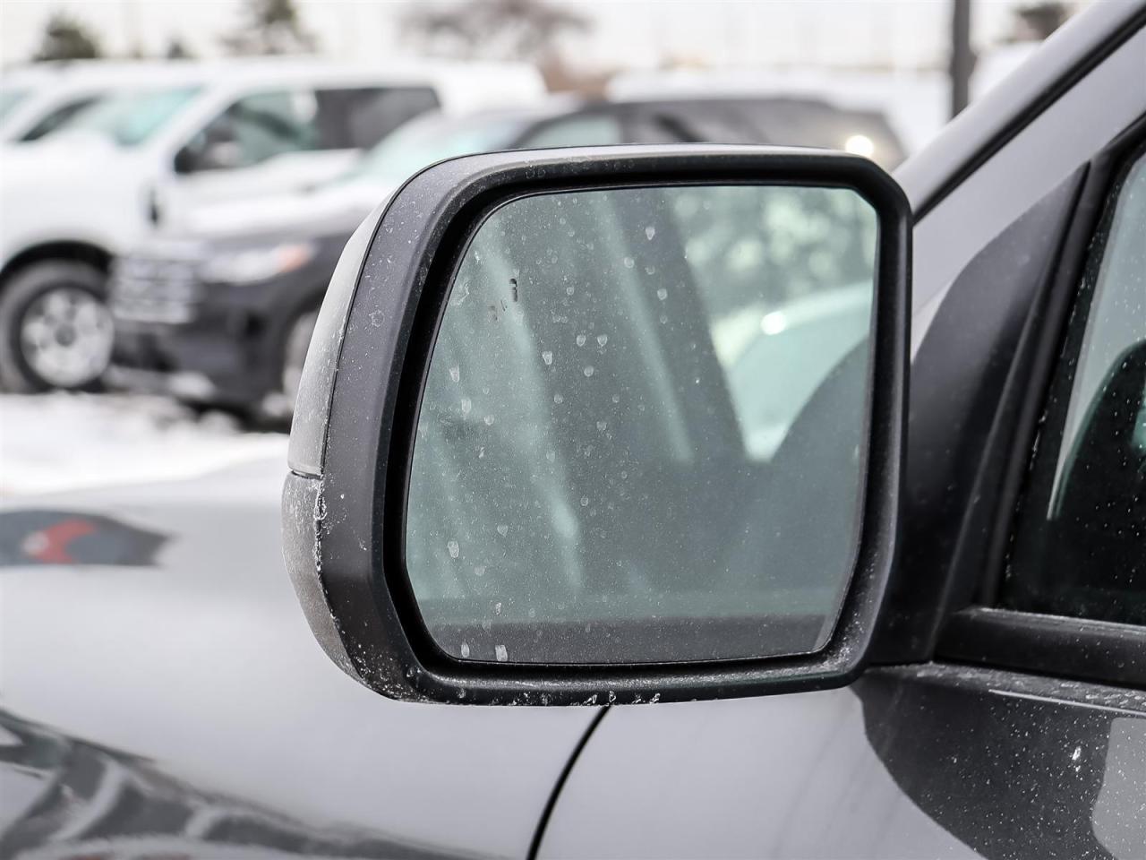 2026 Ford Ranger XLT Photo