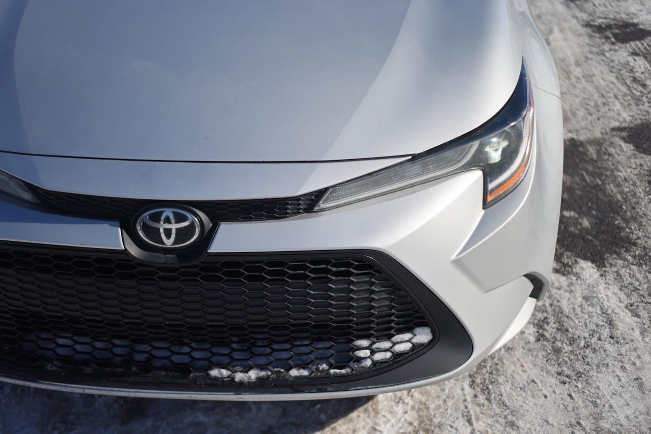 2020 Toyota Corolla LE CVT Photo