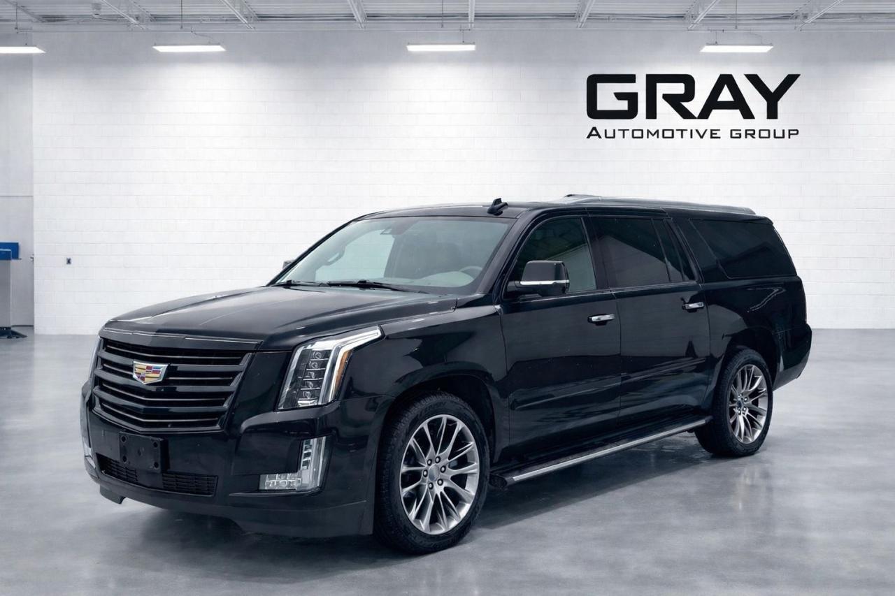 2020 Cadillac Escalade ESV PLATINUM - Photo #1