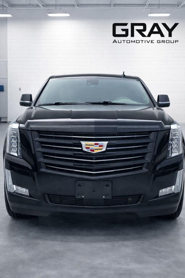 2020 Cadillac Escalade ESV PLATINUM Photo