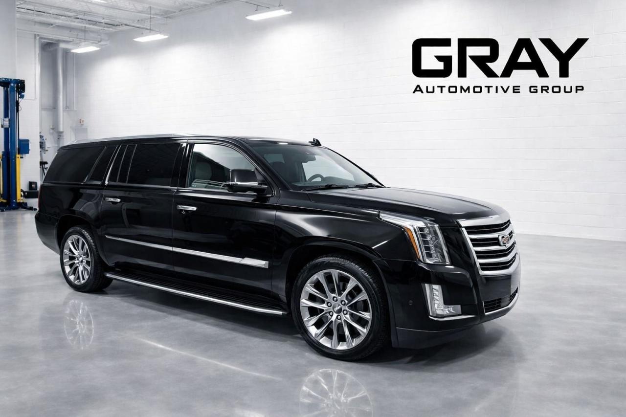 2020 Cadillac Escalade ESV PLATINUM Photo2