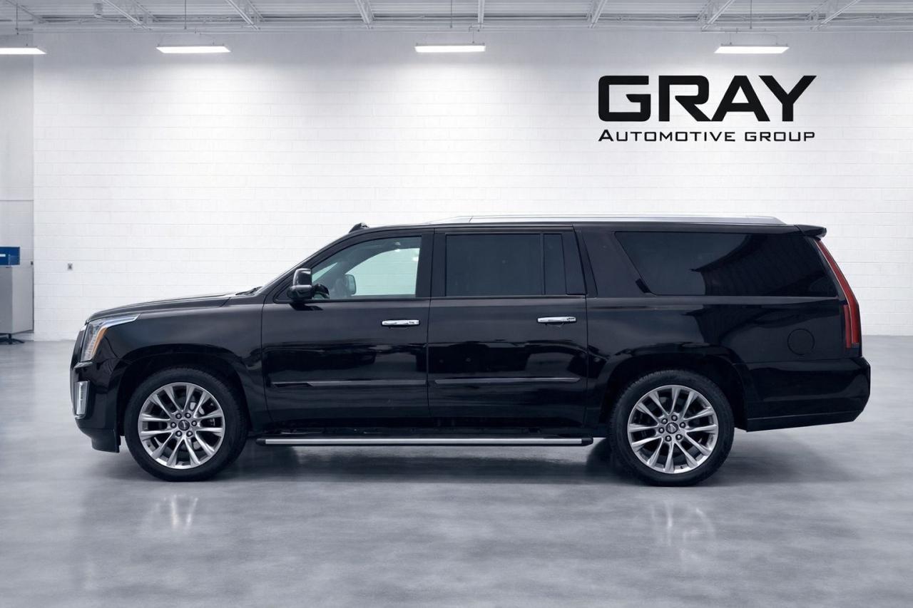 2020 Cadillac Escalade ESV PLATINUM Photo