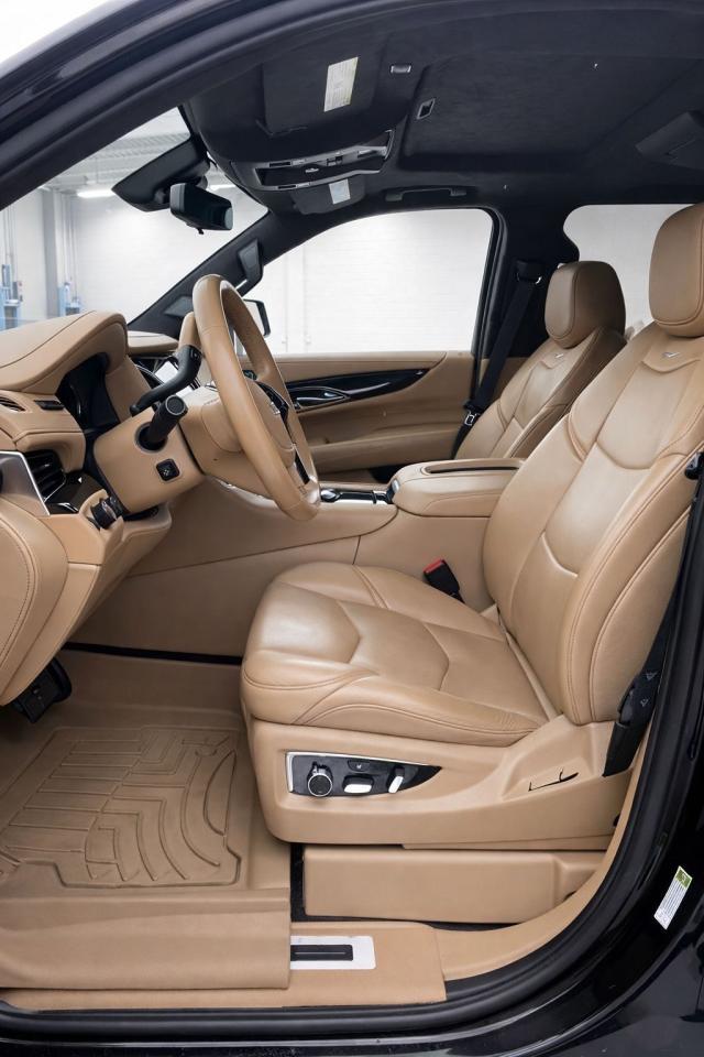 2020 Cadillac Escalade ESV PLATINUM Photo