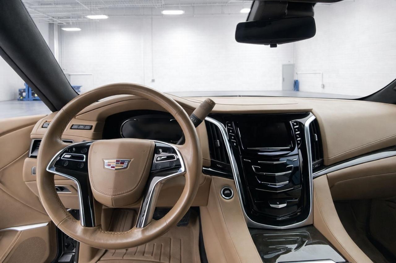2020 Cadillac Escalade ESV PLATINUM Photo