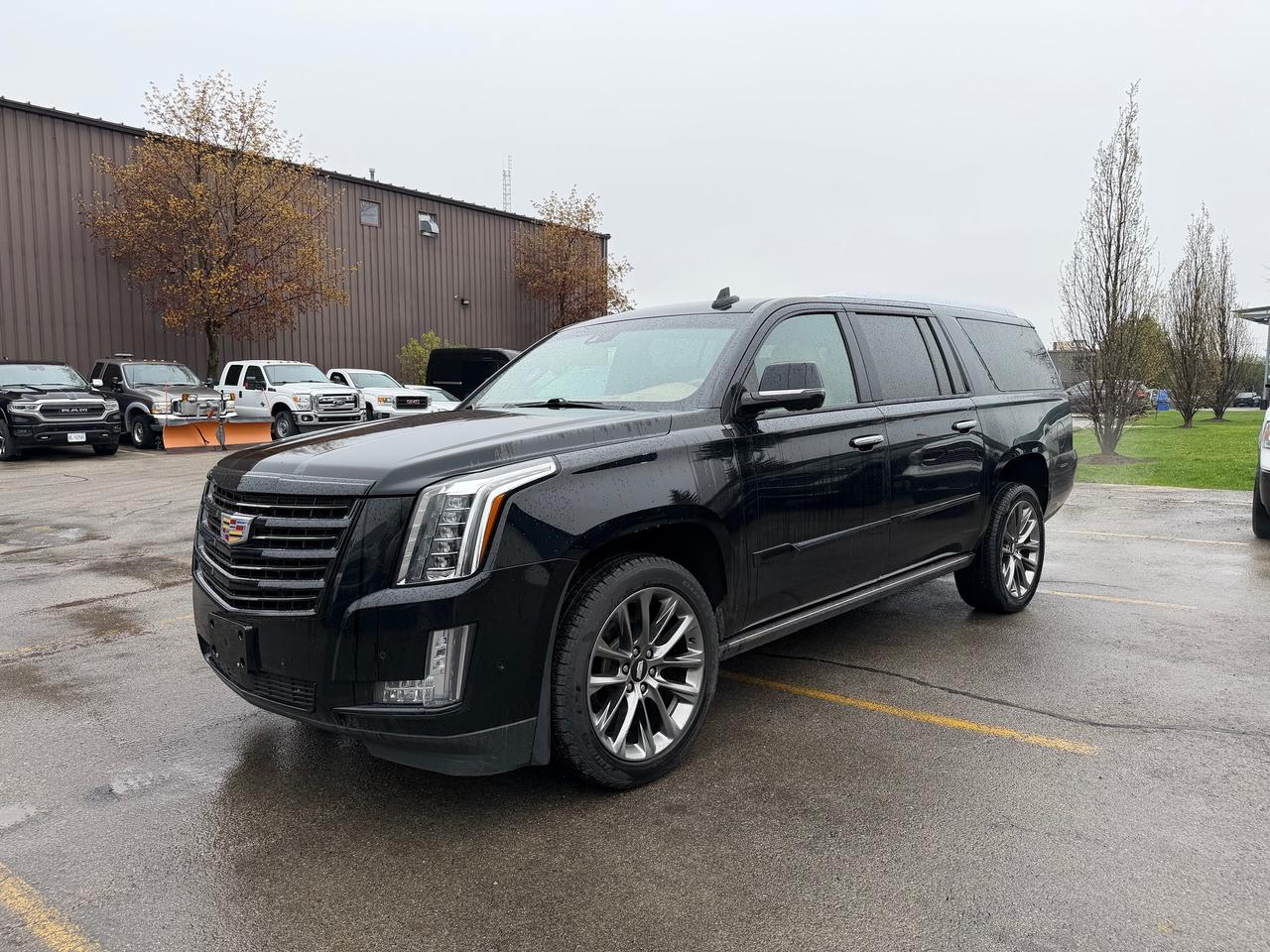 2020 Cadillac Escalade ESV PLATINUM 7 seater One Owner Photo