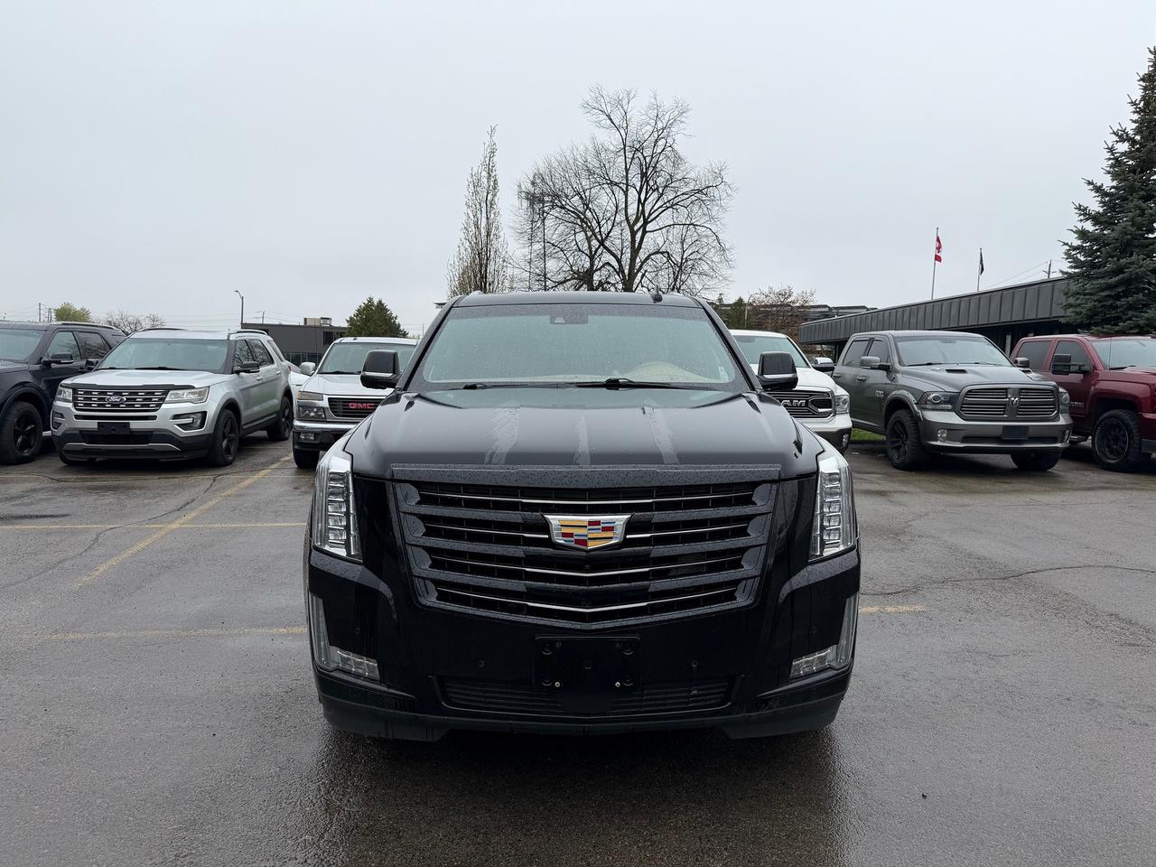 2020 Cadillac Escalade ESV PLATINUM 7 seater One Owner Photo