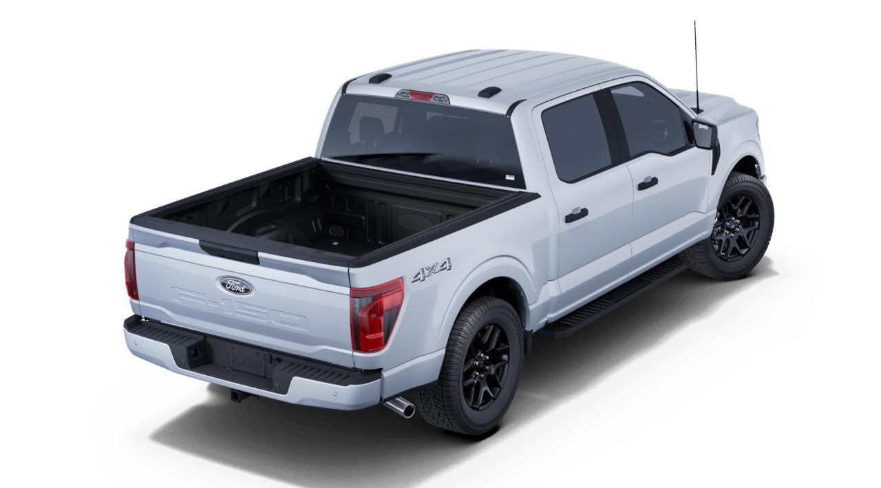 2025 Ford F-150 STX Photo5