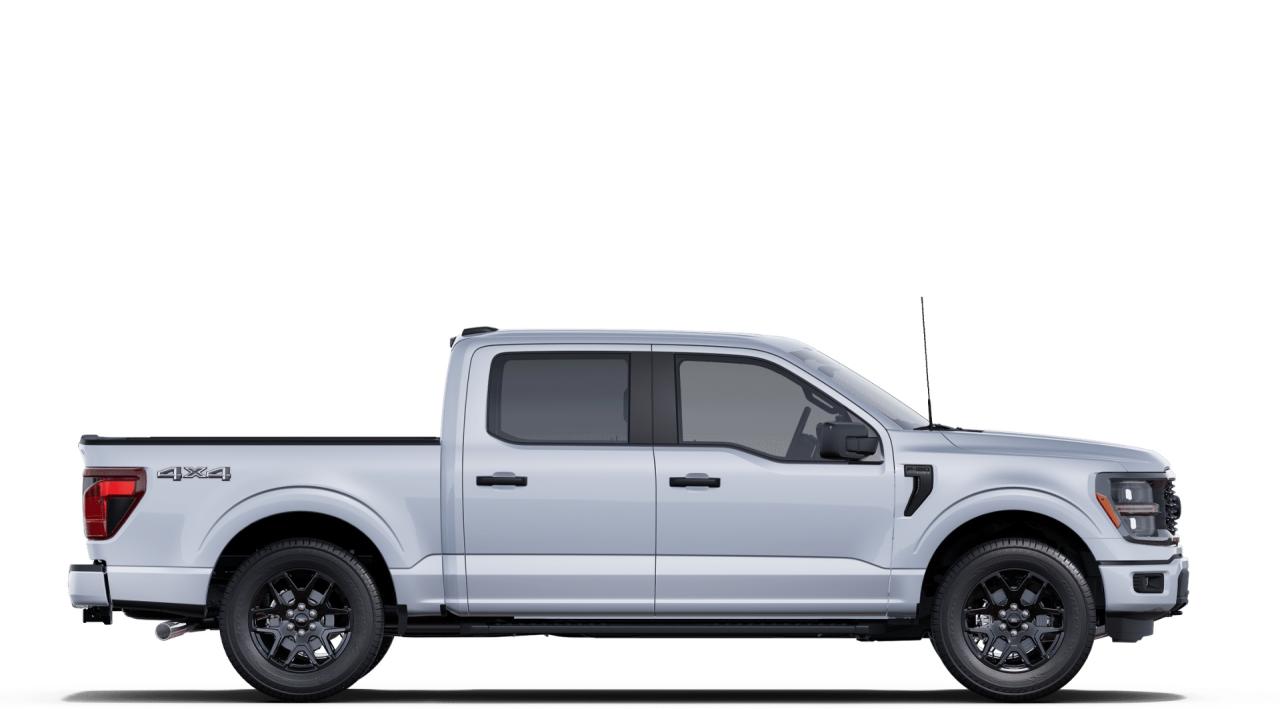 2025 Ford F-150 STX Photo4