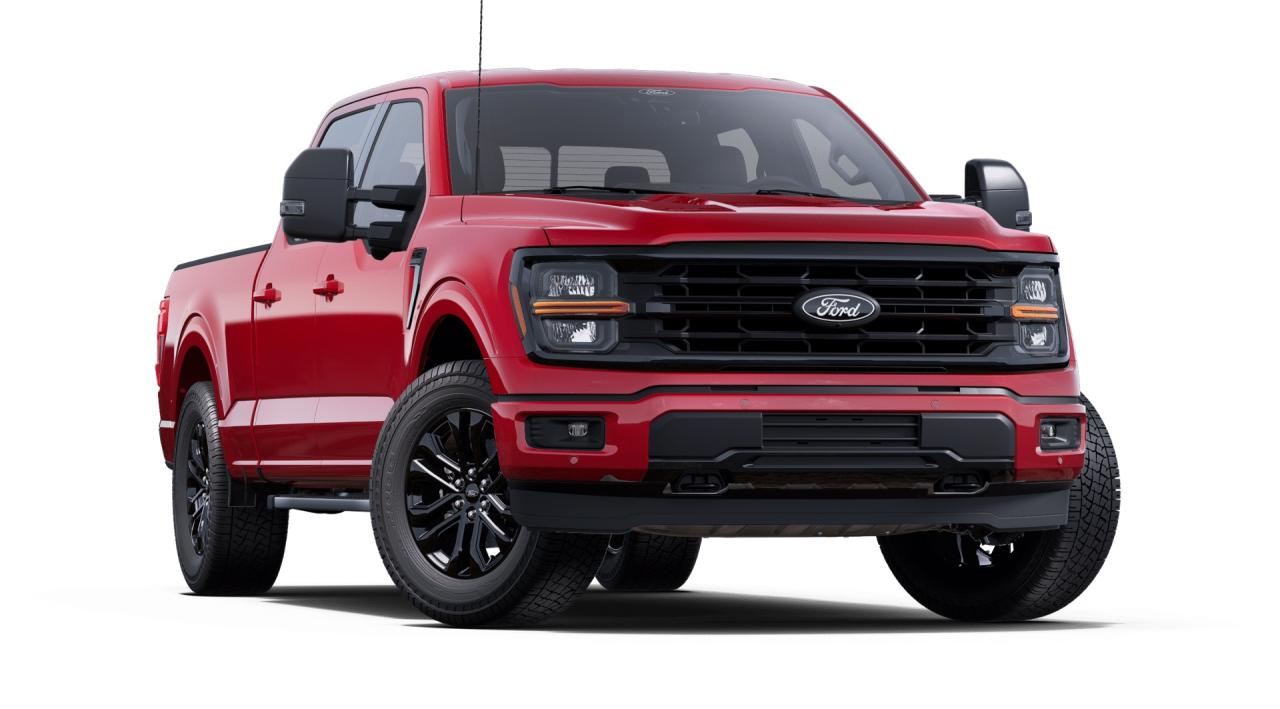 2025 Ford F-150 XLT Photo3