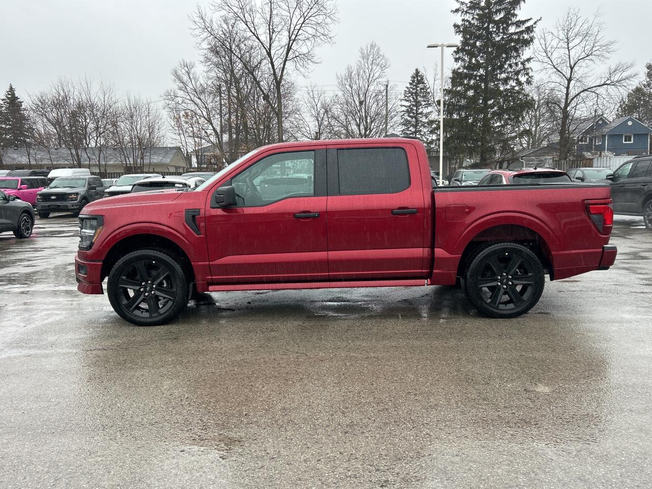 2026 Ford F-150 STX Lobo 4WD SuperCrew 5.5' Box 200A Photo