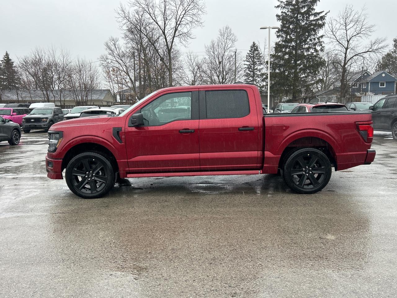2026 Ford F-150 STX Lobo 4WD SuperCrew 5.5' Box 200A Photo