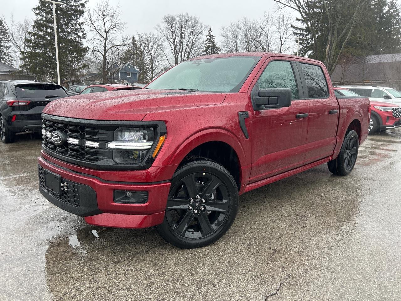 2026 Ford F-150 STX Lobo 4WD SuperCrew 5.5' Box 200A Photo