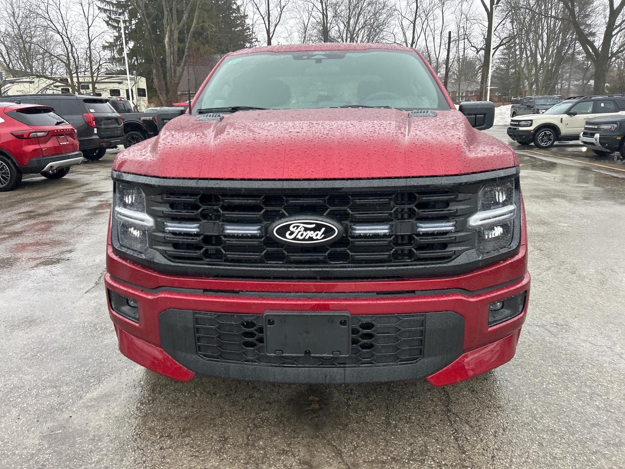 2026 Ford F-150 STX Lobo 4WD SuperCrew 5.5' Box 200A Photo