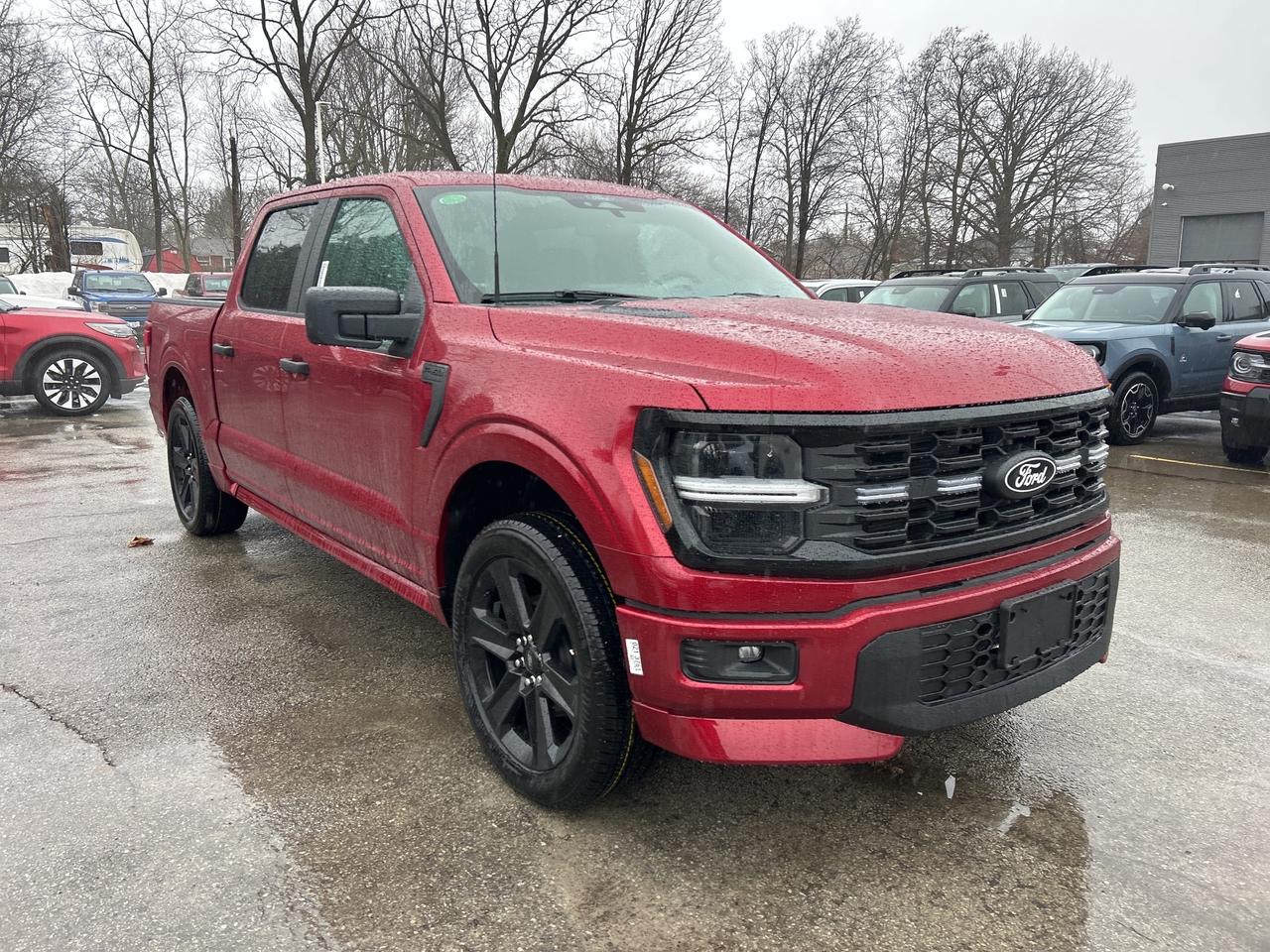 2026 Ford F-150 STX Lobo 4WD SuperCrew 5.5' Box 200A Photo