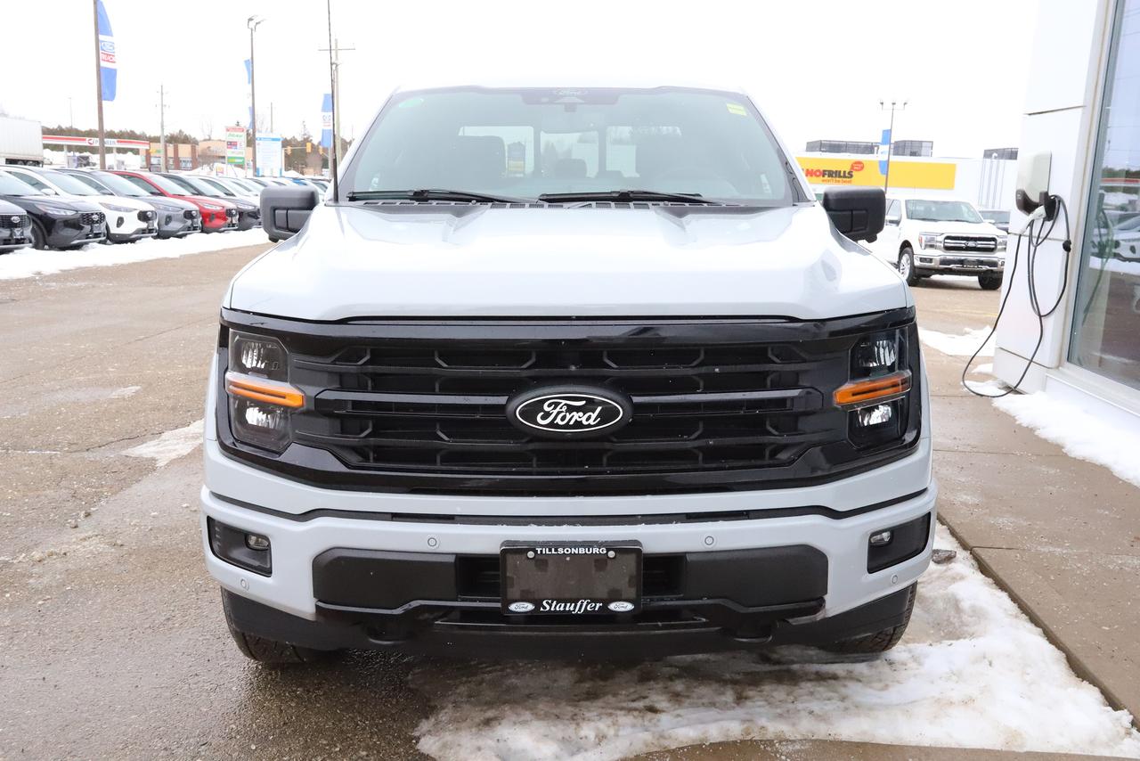 2026 Ford F-150 XLT 4WD SuperCrew 5.5' Box Photo