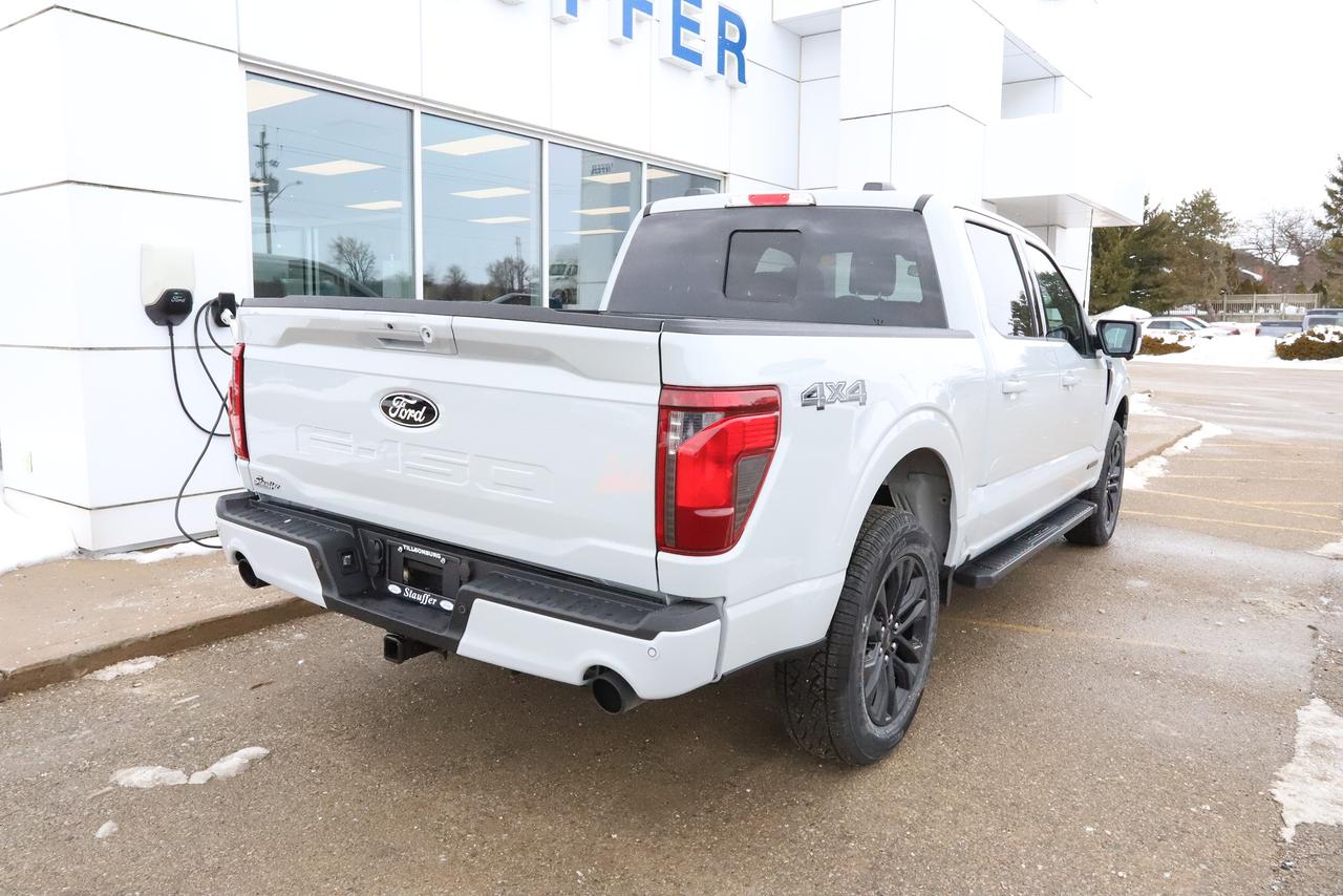 2026 Ford F-150 XLT 4WD SuperCrew 5.5' Box Photo