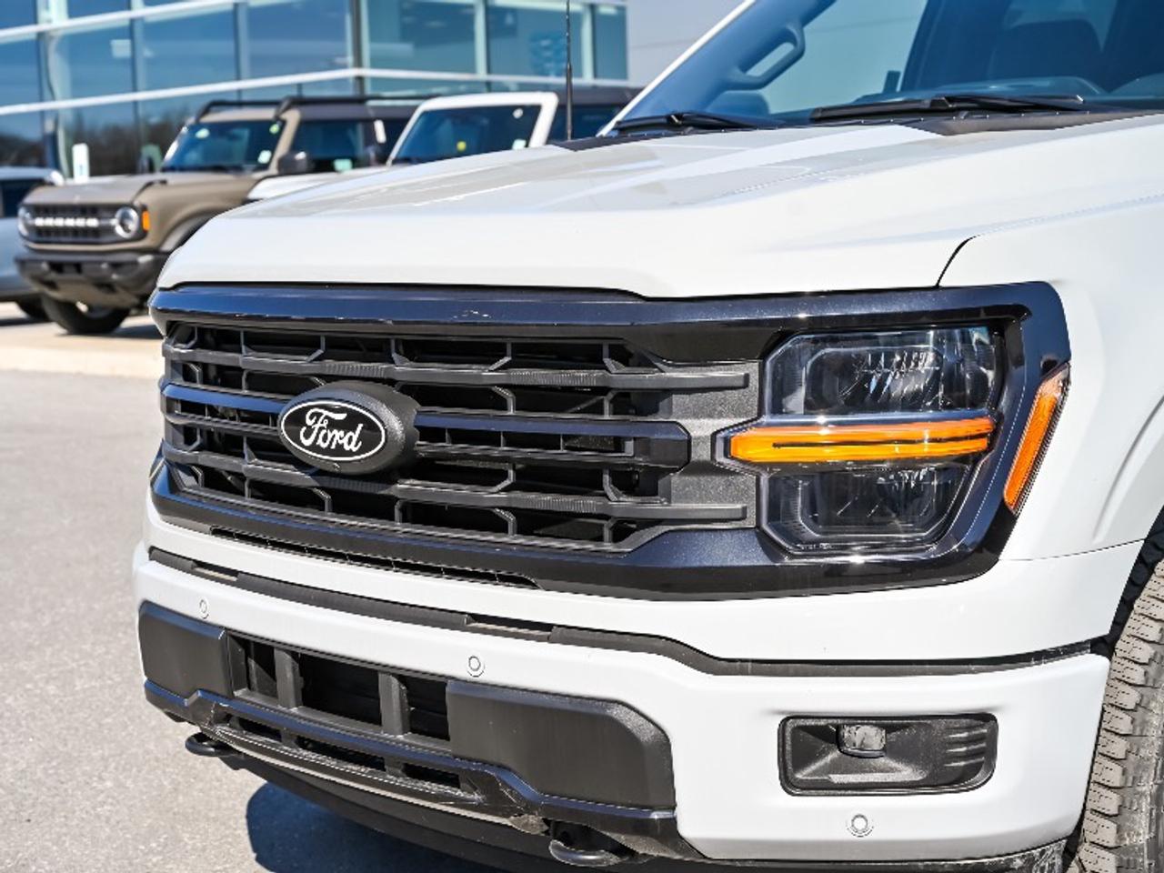 2026 Ford F-150 XLT Photo