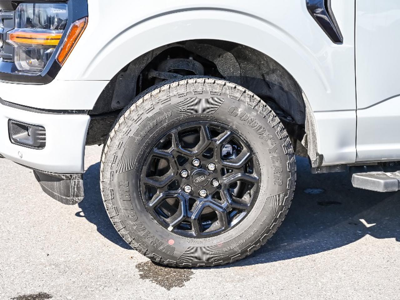 2026 Ford F-150 XLT Photo