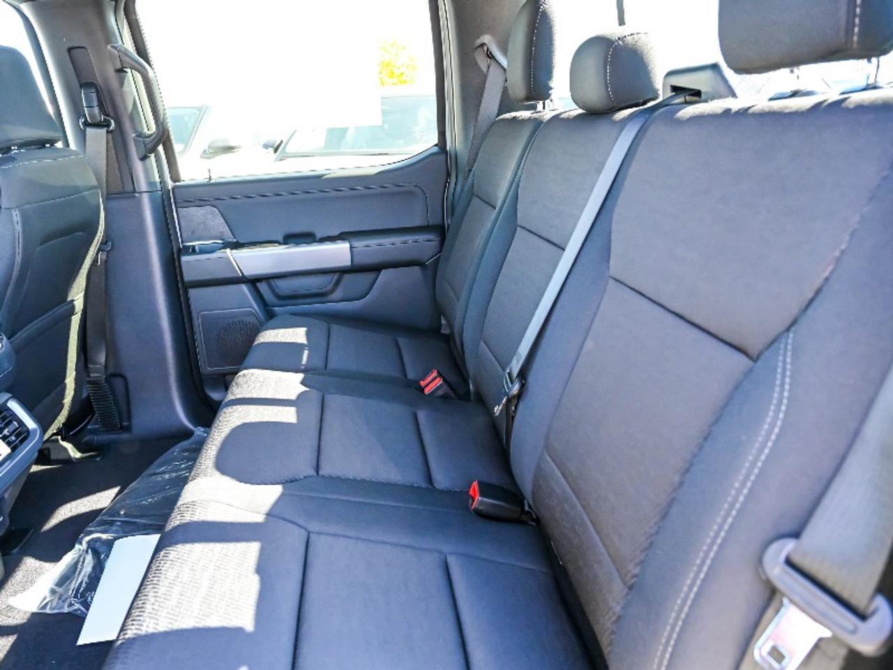 2026 Ford F-150 XLT Photo