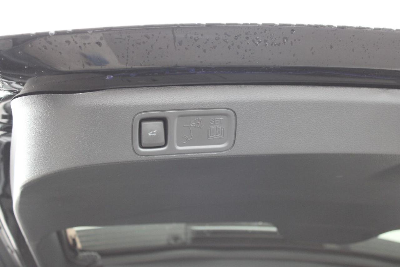 2024 Ford Expedition Limited MAX Photo