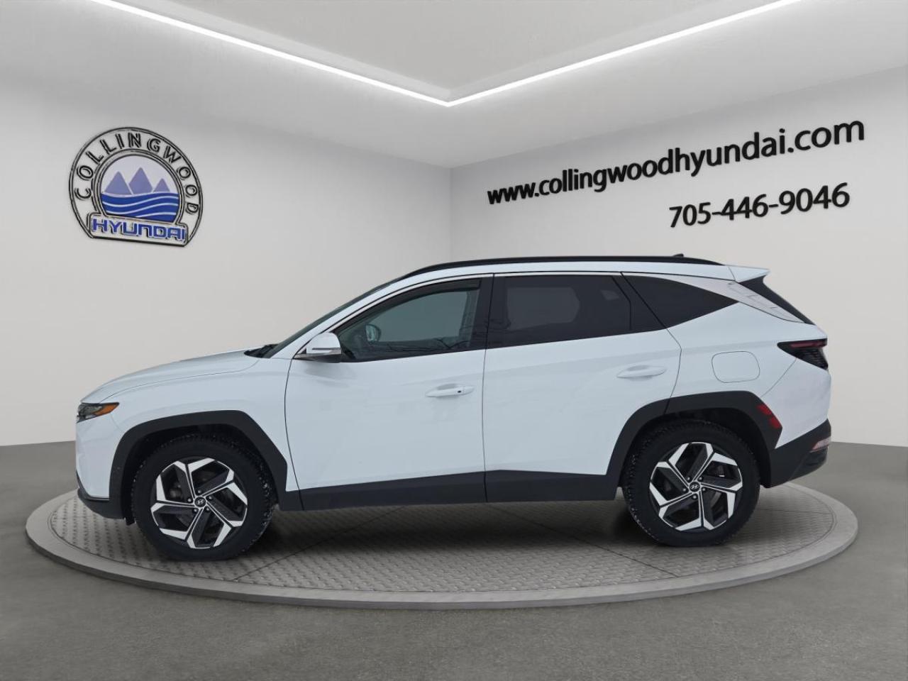 2022 Hyundai Tucson Hybrid Luxury Photo