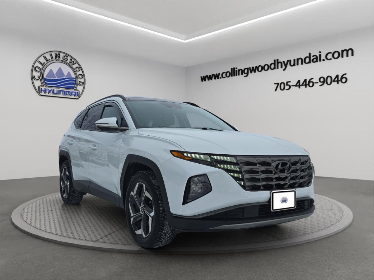 2022 Hyundai Tucson Hybrid Luxury Photo