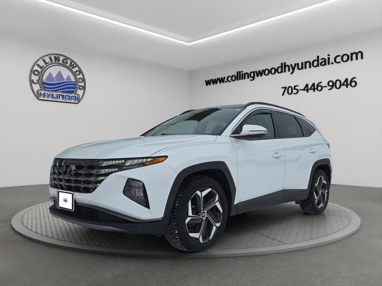 2022 Hyundai Tucson Hybrid Luxury Photo2