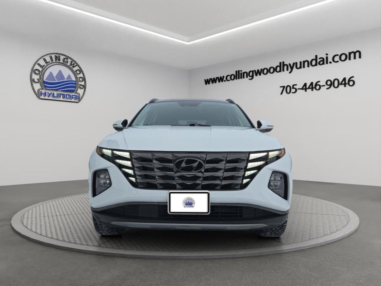 2022 Hyundai Tucson Hybrid Luxury Photo