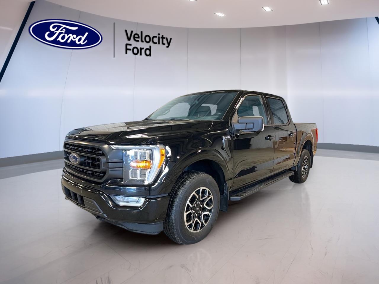 // SINGLE OWNER! //

Built for real work and everyday comfort, this used 2021 Ford F-150 XLT SuperCrew is ready for Moose Jaw roads in every season. Finished in black with a black interior, it delivers the space of a 4-door cab, the confidence of 4WD, and the ease of an automatic transmission. Under the hood, the 2.7 L gas engine balances strong capability with practical efficiency. CARFAX Canada reports this truck has had a single owner, giving you added peace of mind when you choose it at Velocity Ford.

TRUCK FEATURES  
»» Towing capacity rated up to 4,580 kg  
»» Four-Wheel Drive for tough conditions  
»» Rear tow hook for recovery help  
»» Off-road tires for added grip  

ADVANCED SAFETY FEATURES  
»» Anti-Lock Braking System helps maintain control  
»» Stability Control supports confident handling  
»» Blind Spot Monitor helps change lanes  
»» Lane Departure Warning adds highway confidence  

PERFORMANCE AND EFFICIENCY  
»» 2.7 L gas engine for daily power  
»» Automatic transmission for smooth shifting  
»» Dual shift mode for driver control  
»» Power steering for easy low-speed turns  

COMFORT AND CONVENIENCE  
»» Front air conditioning for cabin comfort  
»» Cruise control for relaxed highway drives  
»» Power windows for quick ventilation  
»» Adjustable steering wheel for better fit  

TECHNONOLGY AND CONNECTIVITY  
»» Bluetooth integration for hands-free calling  
»» WiFi hotspot helps keep devices connected  
»» Steering wheel audio controls reduce distraction  
»» Backup camera helps with tight parking  

CARGO SPACE  
»» Rear trunk access for easier loading  
»» SuperCrew cabin supports gear and passengers  
»» Spare tire carried for roadside readiness  
»» Tinted windows help protect items inside  

WHAT OTHER OWNERS LIKE  
»» Confident traction from Four-Wheel Drive system  
»» Easy towing and hauling for weekend tasks  
»» Helpful driver aids for daily commuting  
»» Comfortable ride with practical cabin layout  


This 2021 Ford F-150 XLT SuperCrews VIN is: 1FTEW1EP6MFC54962.