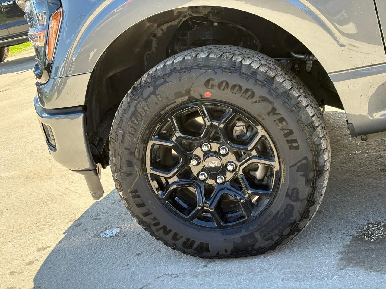 2026 Ford F-150 XLT 4WD SuperCrew 5.5' Box Photo