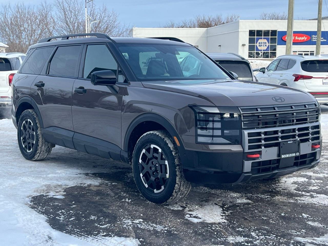 2026 Hyundai PALISADE XRT Pro AWD Photo