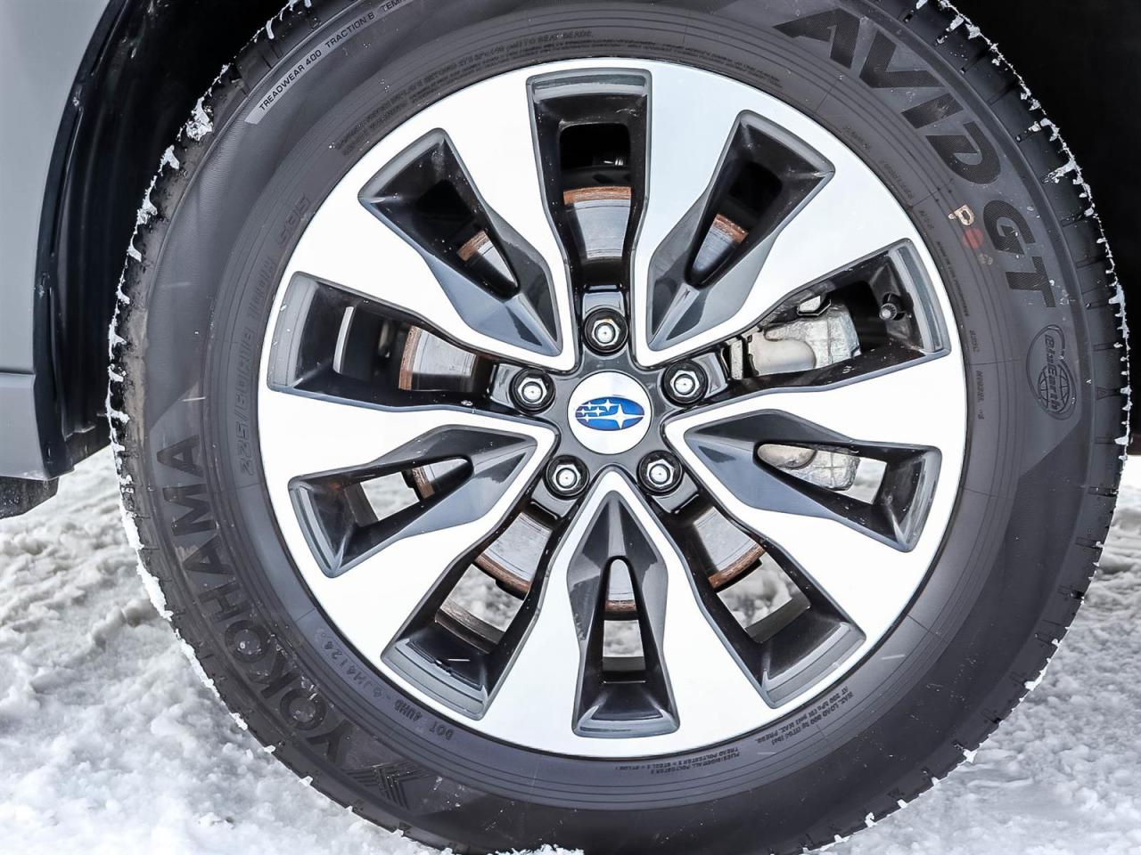 2025 Subaru Outback Premier XT Photo