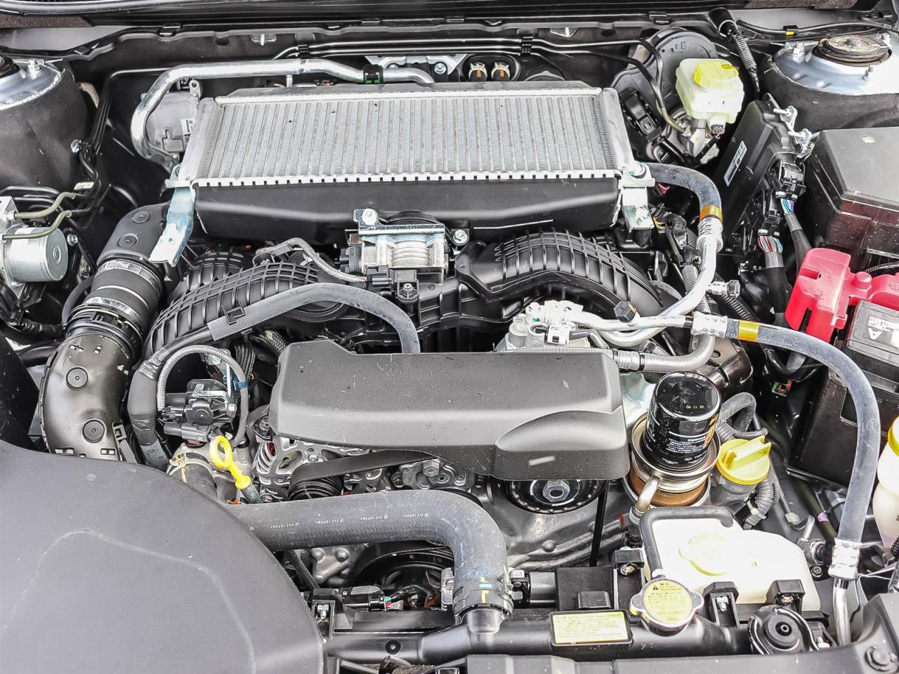 2025 Subaru Outback Premier XT Photo