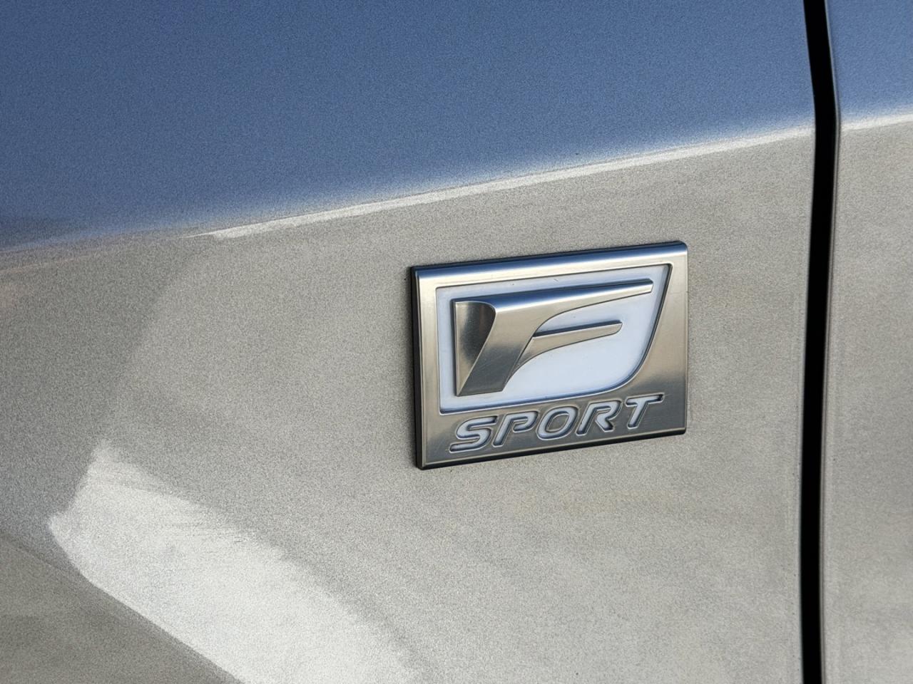 2017 Lexus RX 350 F-Sport AWD with Navigation Photo