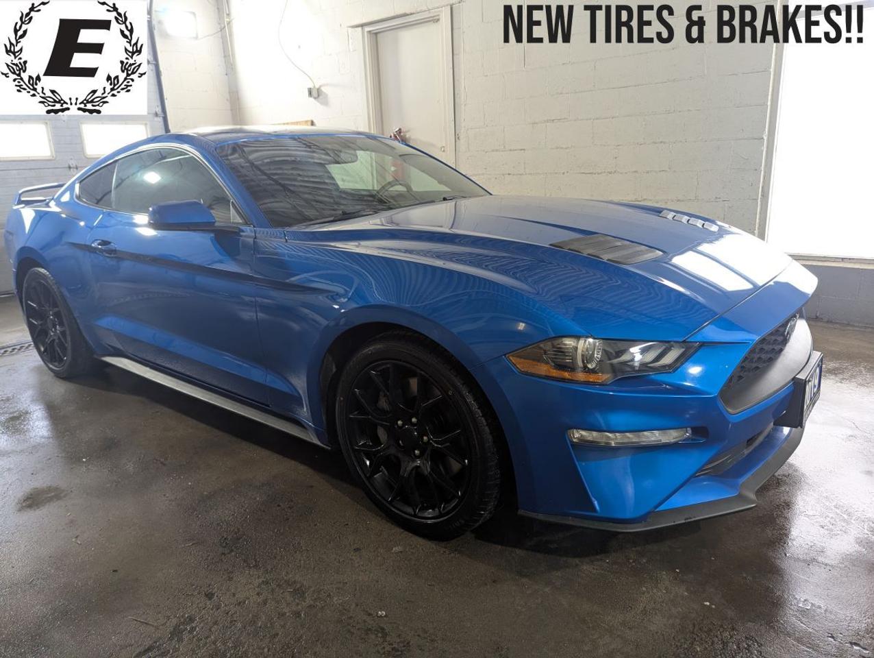 <p>Cruise into excitement with this head-turning 2019 Ford Mustang EcoBoost, now available at Eckert Auto Sales, 192 Essa Road, Barrie! This striking blue coupe is ready to ignite your passion for driving. With its sleek lines, sporty silhouette, and powerful 2.3L 4-cylinder Turbo engine, this Mustang is guaranteed to deliver a thrilling experience every time you hit the road. This beauty has been well-maintained and boasts a comfortable dark grey interior. With 147,200 km on the odometer, this Mustang is ready for many more adventures.</p><p>Here at Eckert Auto Sales, 192 Essa Road we have no extra or hidden fees just honest pricing. Included in the price is our Advantage Package which includes the safety, oil change, we guarantee everything mechanically works on the Mustang 100% and back it with a Dealer Warranty for 30 days/500 kilometers. Do you require financing if so you have found the right dealer. We give you the best interest rate available for your credit score. No extra upselling of interest rates, no finance fees by the dealership!! At Eckert Auto Sales we are your transparent family operated dealership. We welcome you to join the Eckert Auto Sales family.</p><p>HST and licensing extra.</p><p>For more information give us a call today (705)797-1100 or visit us at 192 Essa Road, Barrie</p><p>&nbsp;</p><p>&nbsp;</p>