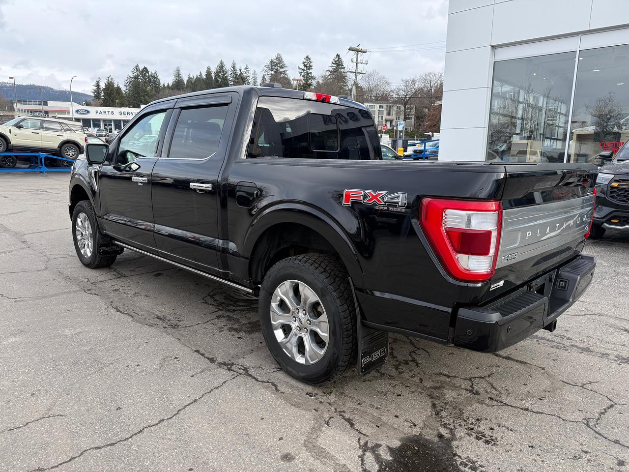 2022 Ford F-150 Platinum Photo2