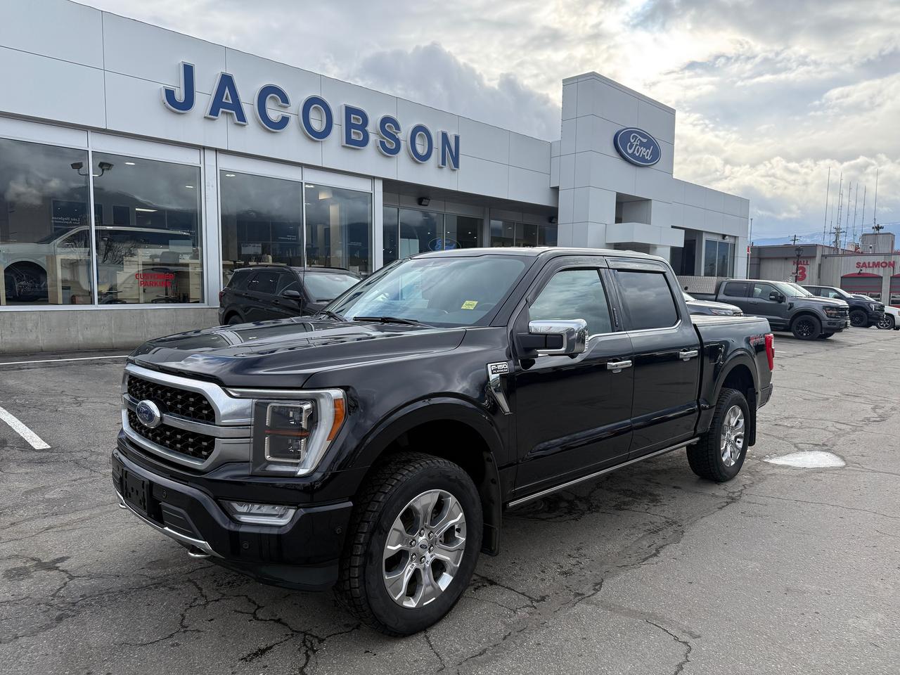 2022 Ford F-150 Platinum Photo0