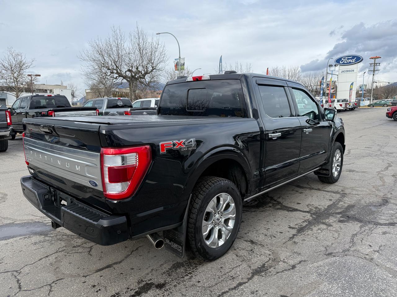 2022 Ford F-150 Platinum Photo4