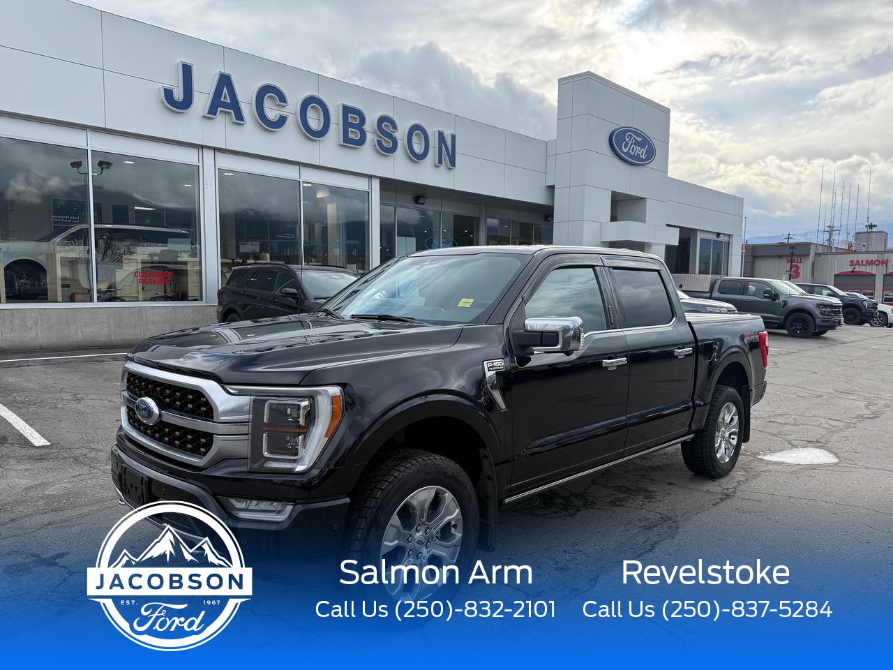 2022 Ford F-150 Platinum Photo0