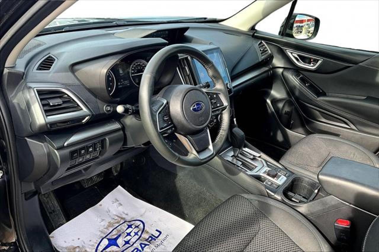 2024 Subaru Forester  Photo