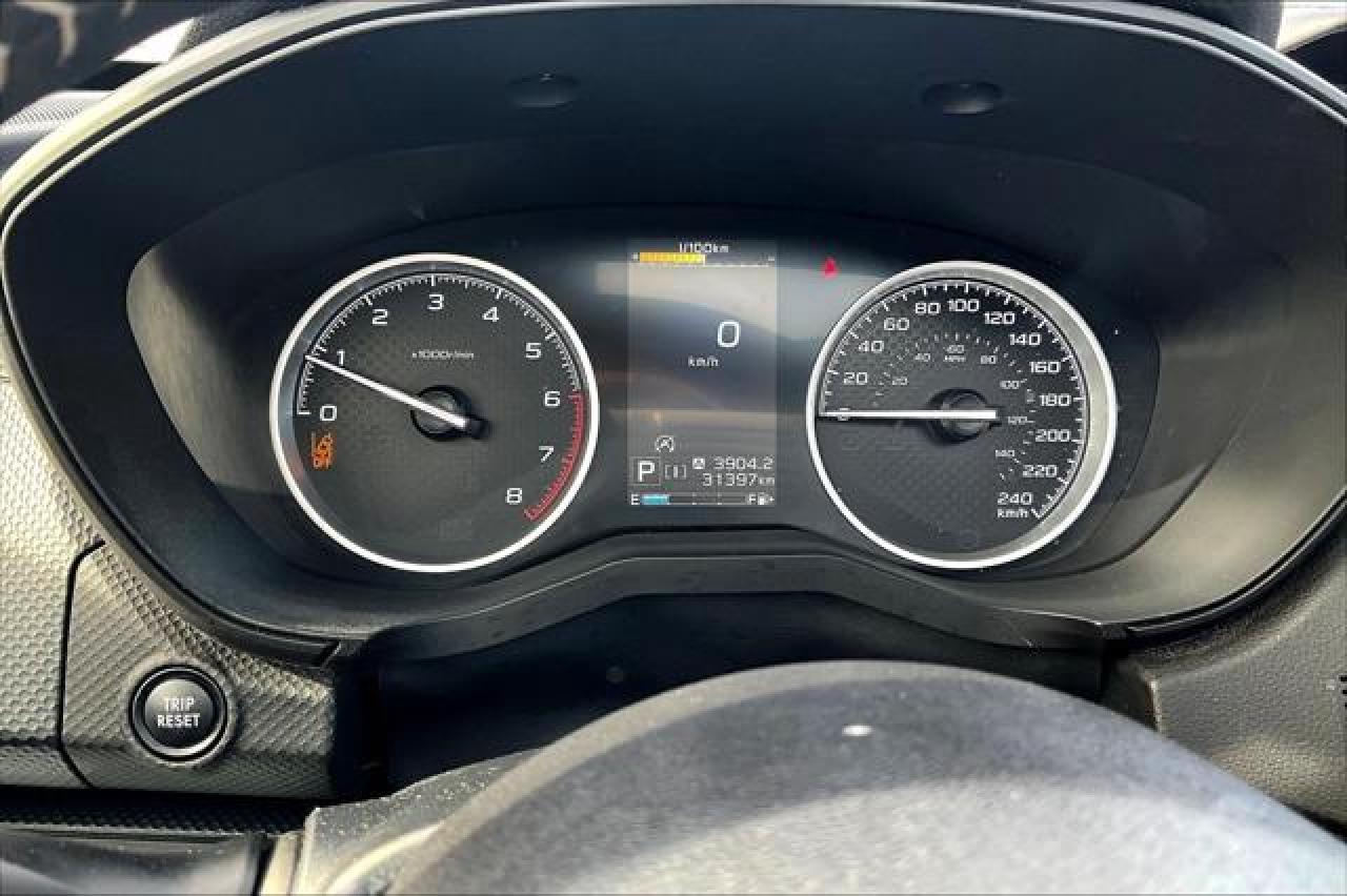 2024 Subaru Forester  Photo