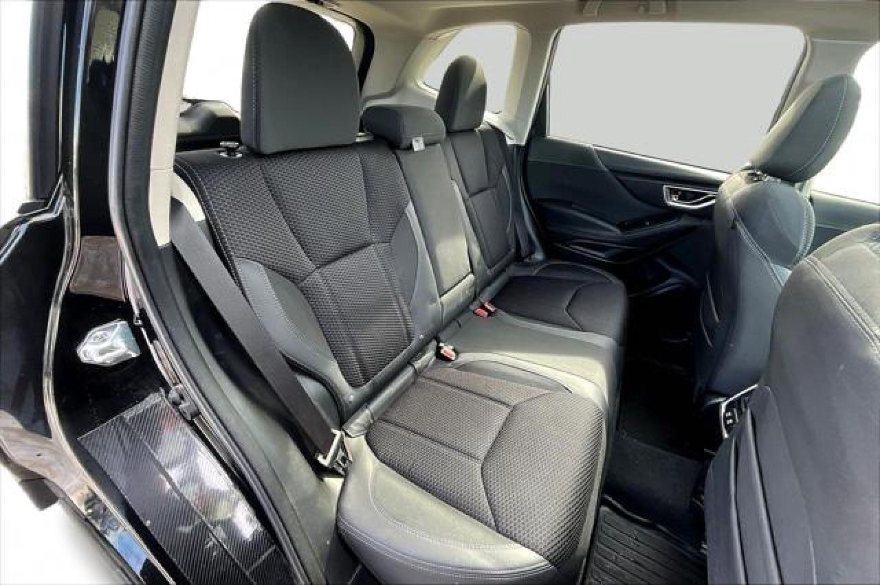 2024 Subaru Forester  Photo