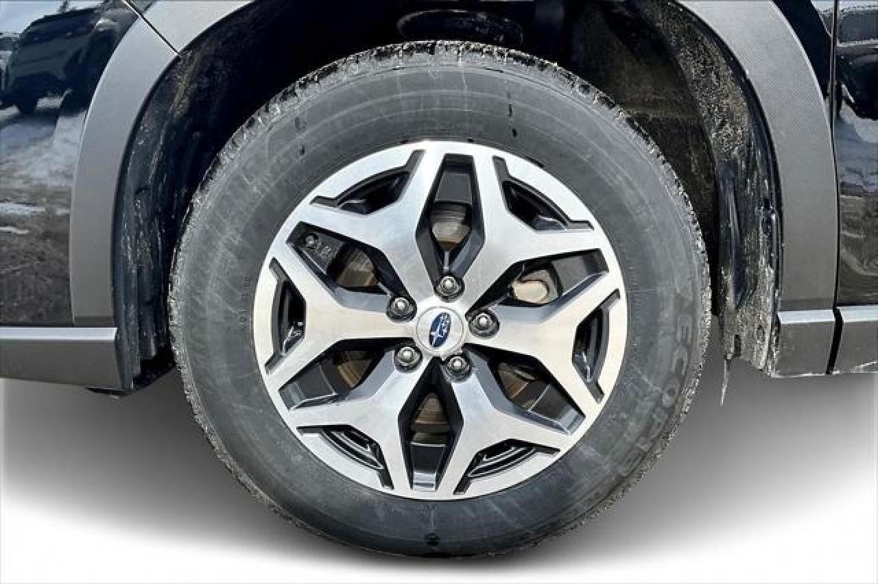 2024 Subaru Forester  Photo