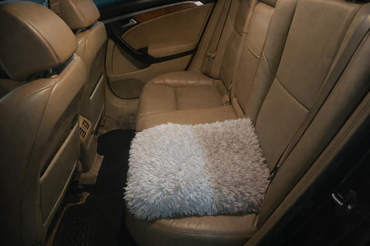 2005 Acura TL  Photo