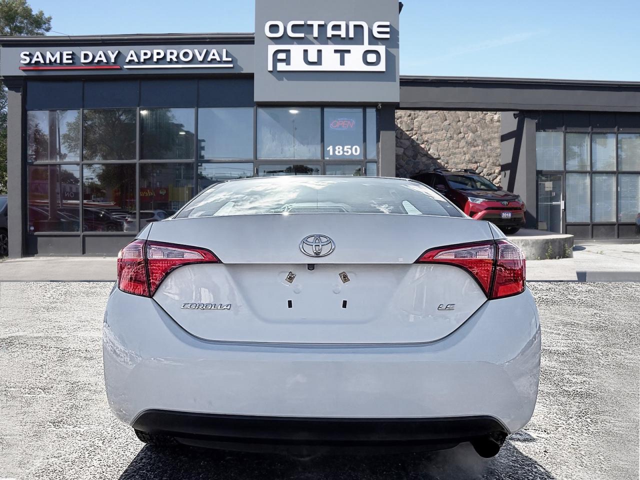 2019 Toyota Corolla LE Photo