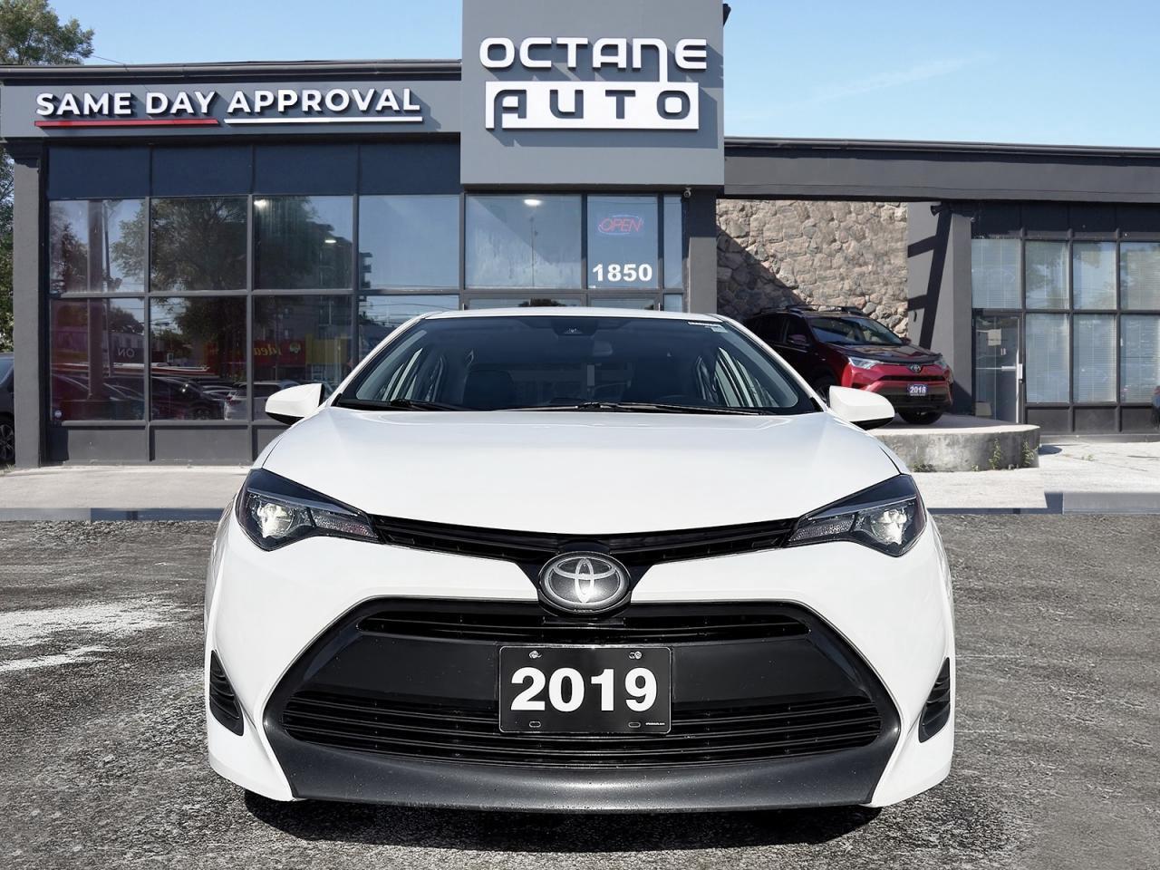 2019 Toyota Corolla LE CVT Photo