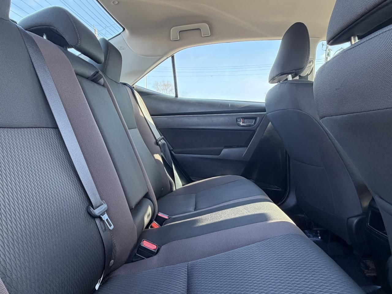 2019 Toyota Corolla LE CVT Photo