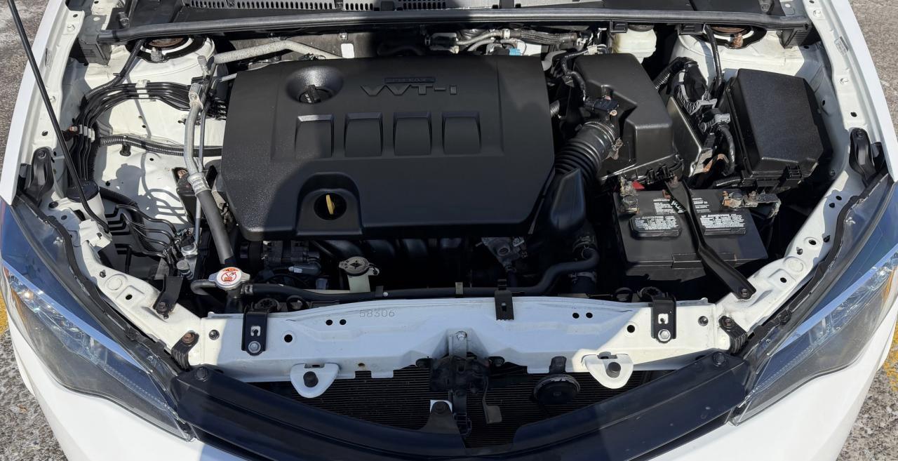 2019 Toyota Corolla LE CVT Photo